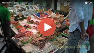 video sul mercato di ueno