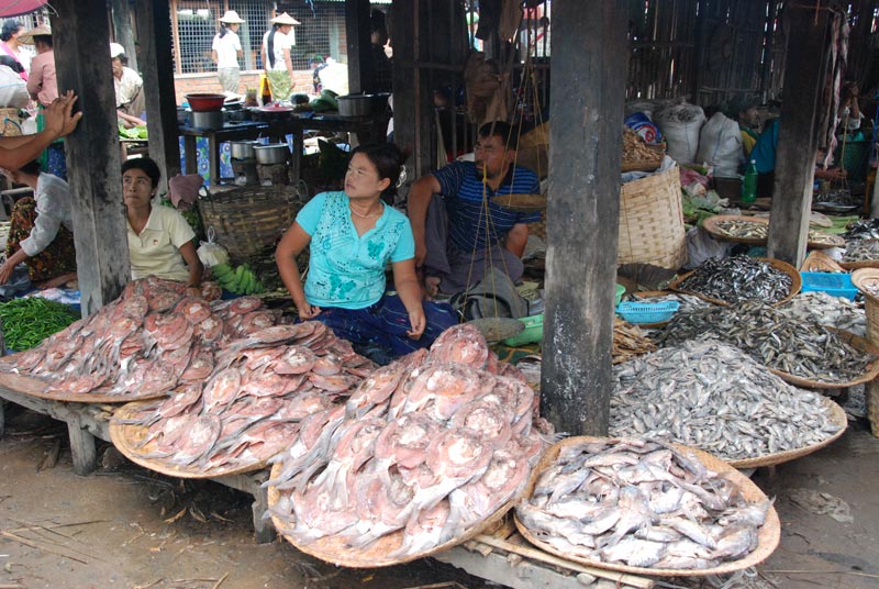 Pesce fresco e secco del lago Inle venduto in un mercato locale
